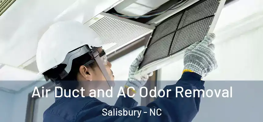  Air Duct and AC Odor Removal Salisbury - NC