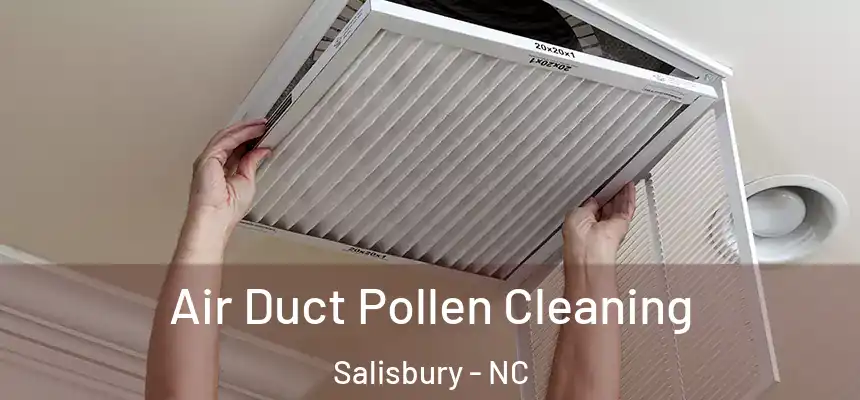  Air Duct Pollen Cleaning Salisbury - NC