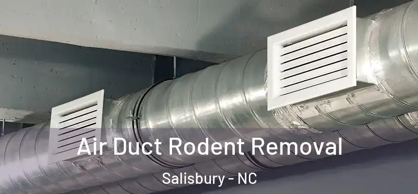  Air Duct Rodent Removal Salisbury - NC