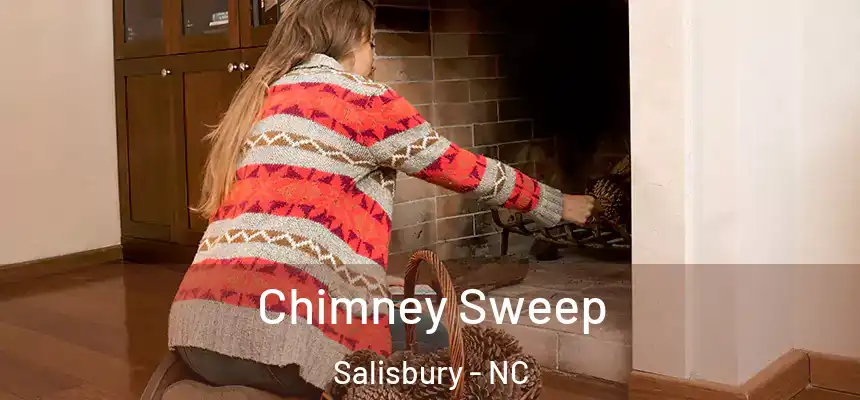  Chimney Sweep Salisbury - NC