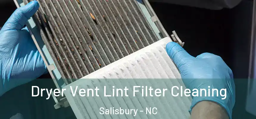  Dryer Vent Lint Filter Cleaning Salisbury - NC