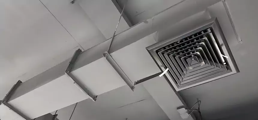 Our Rodent Droppings In Vents Services in Salisbury, NC