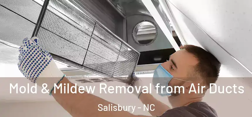  Mold & Mildew Removal from Air Ducts Salisbury - NC