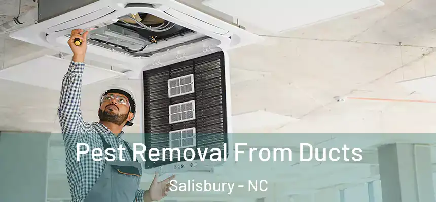  Pest Removal From Ducts Salisbury - NC