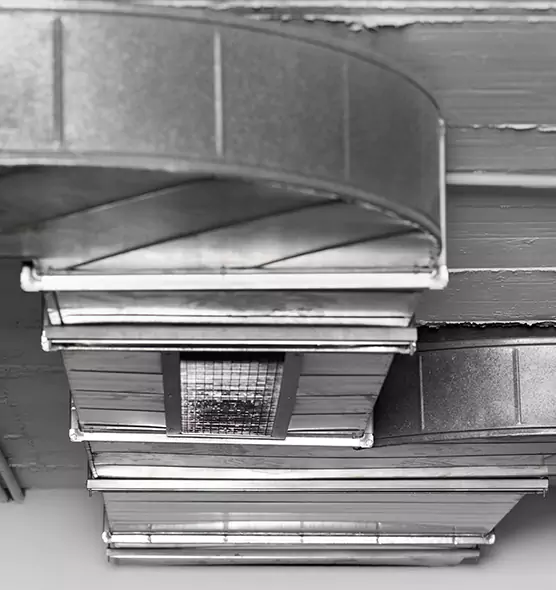 Professional Air Duct Pest Removal in Salisbury, NC