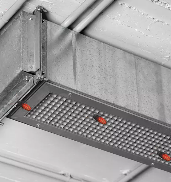 Affordable Insect Removal from Air Ducts in Salisbury, NC