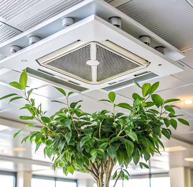 Why Homeowners & Businesses Trust Us in Salisbury, NC?